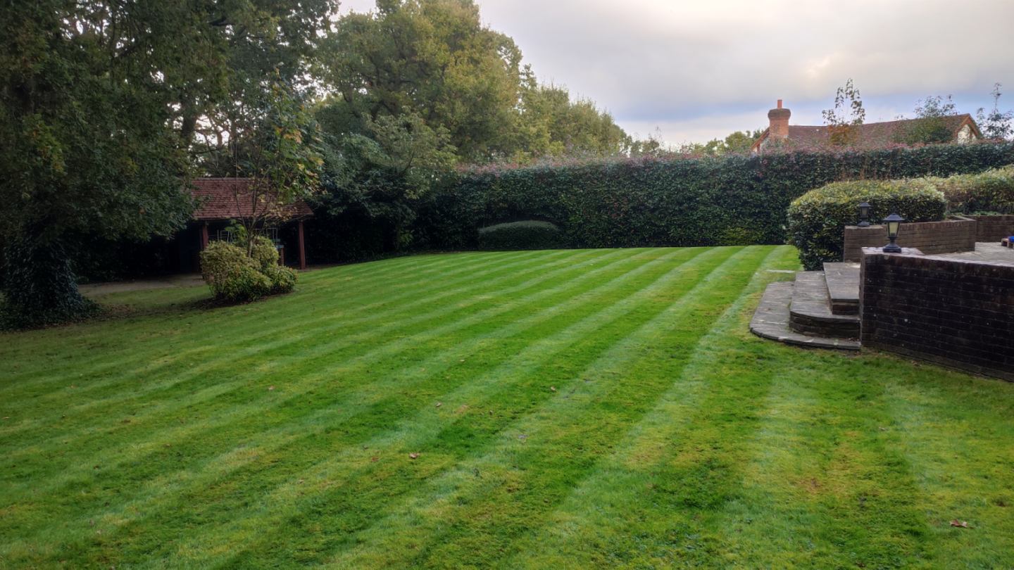 5 Summer Cleaner Gardening Tips for a Greener Lawn
